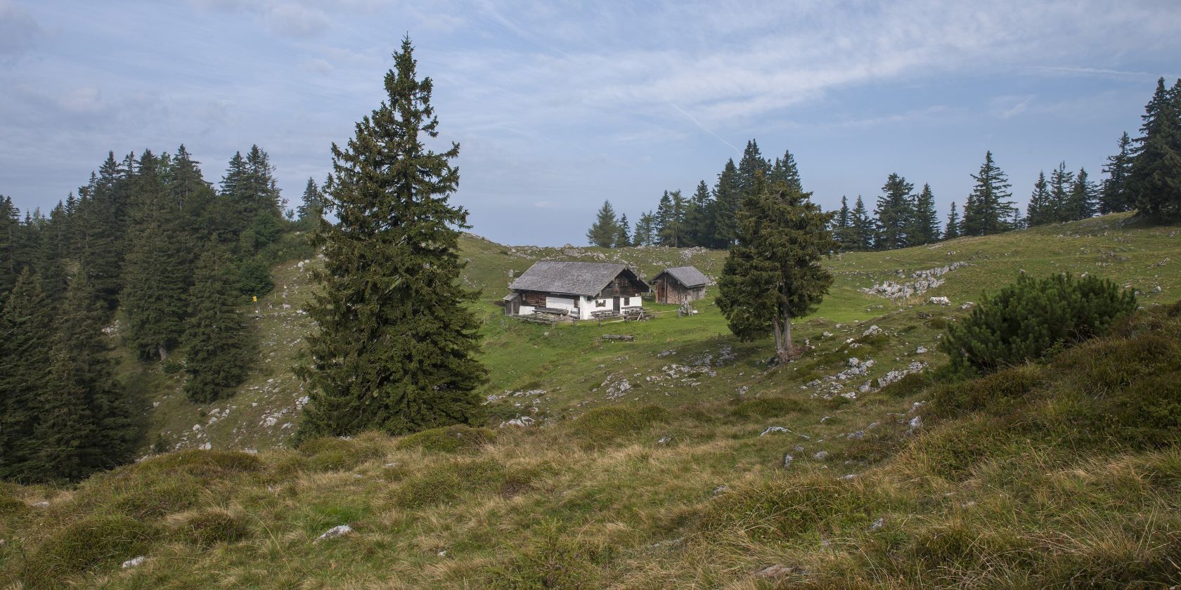 Kohler Alm, &copy; Inzeller Touristik GmbH