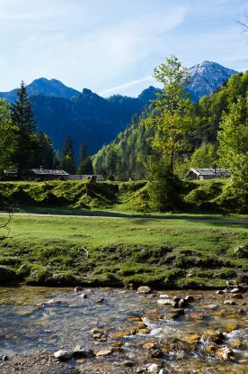 Mountainbike, &copy; Ruhpolding Tourismus / Andreas Plenk