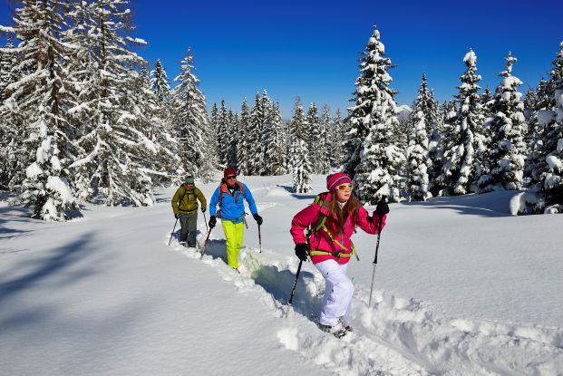Schneeschuhwandern Hemmersuppenalm Fellhorn, &copy; Eisele Hein
