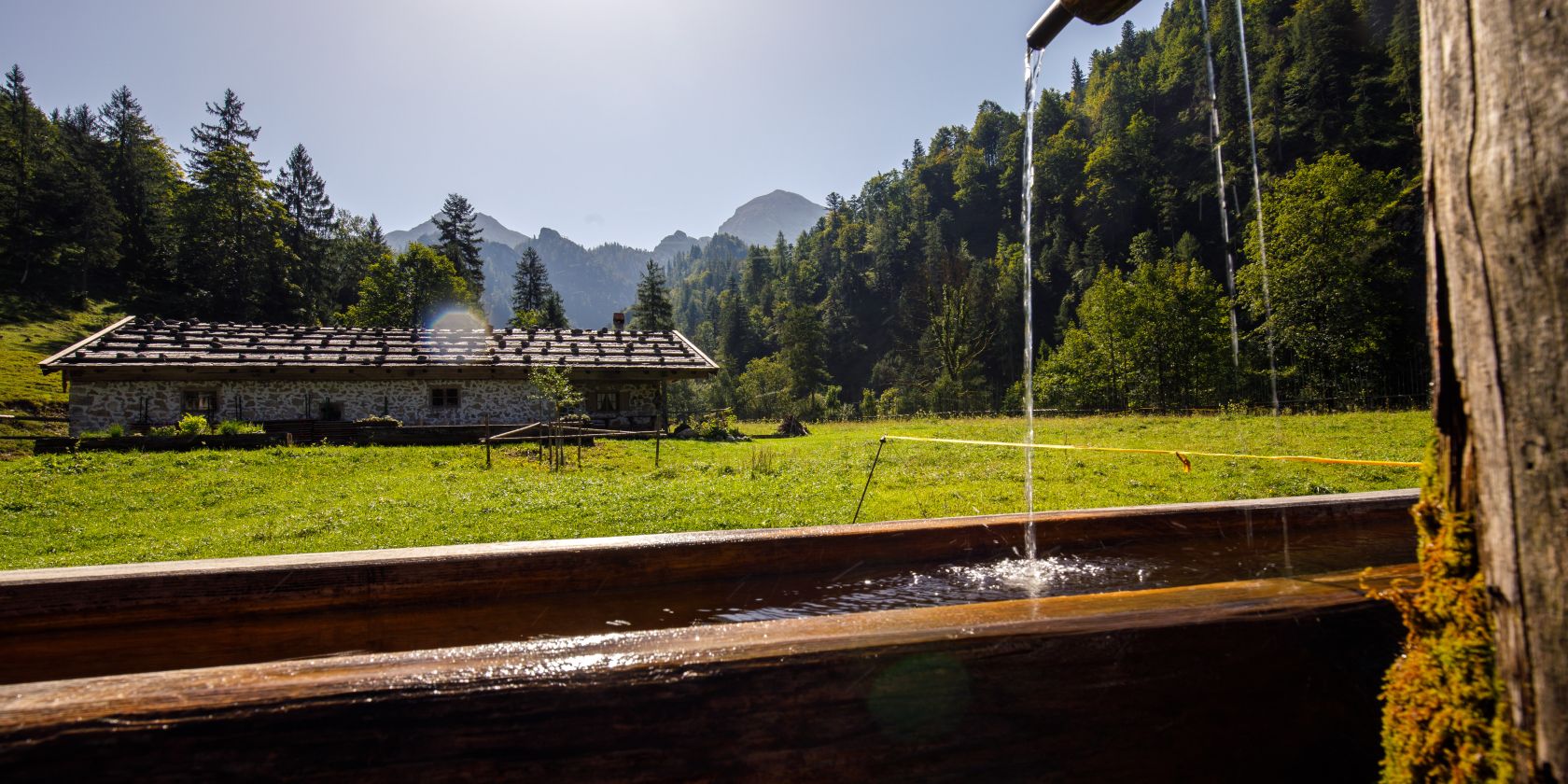 Schwarzachen Alm, &copy; Ruhpolding Tourismus / Andreas Plenk