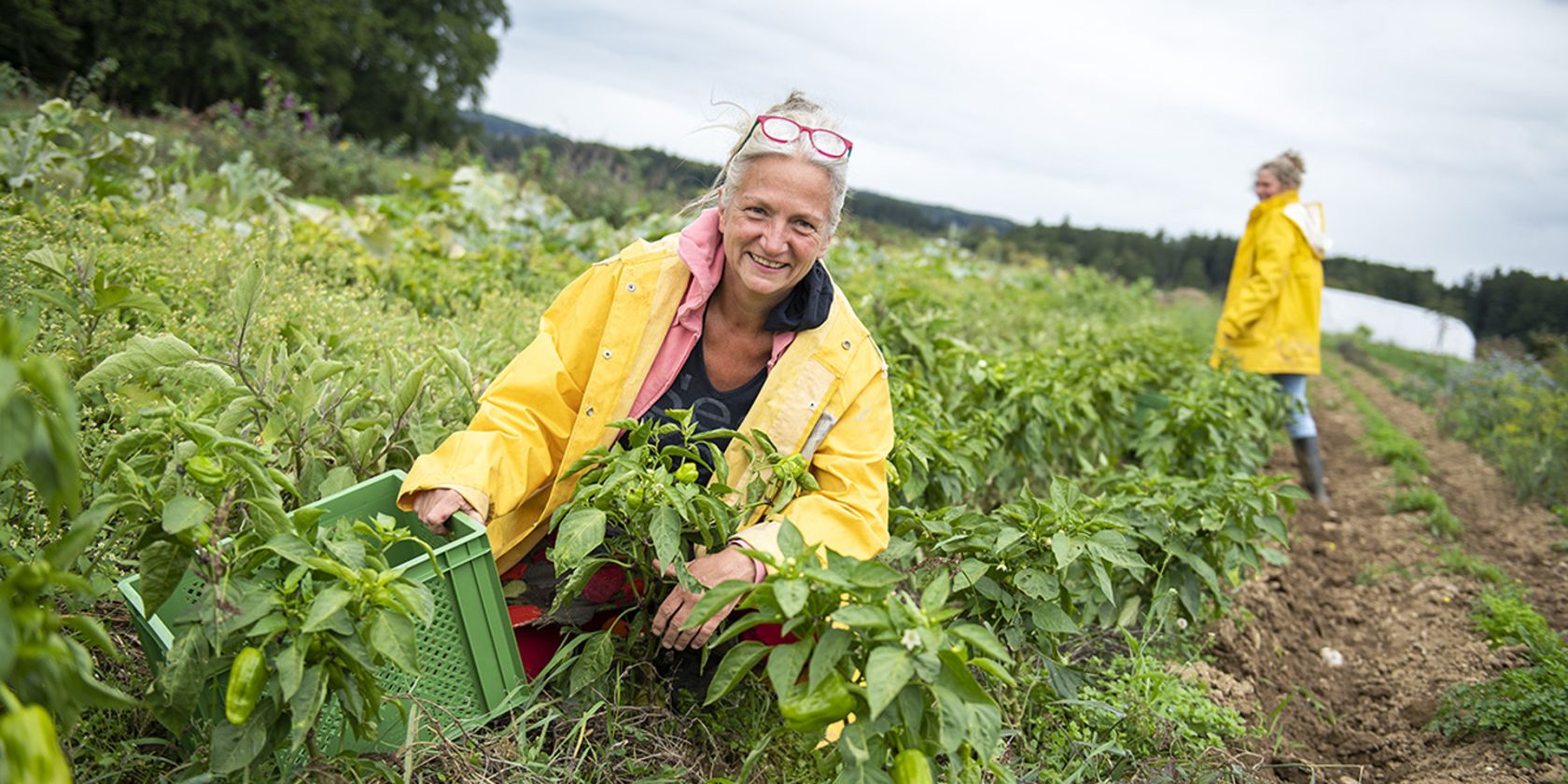 Girls'Day bei der SoLaWi Chiemgau, &copy; Tourist-Info Waginger See
