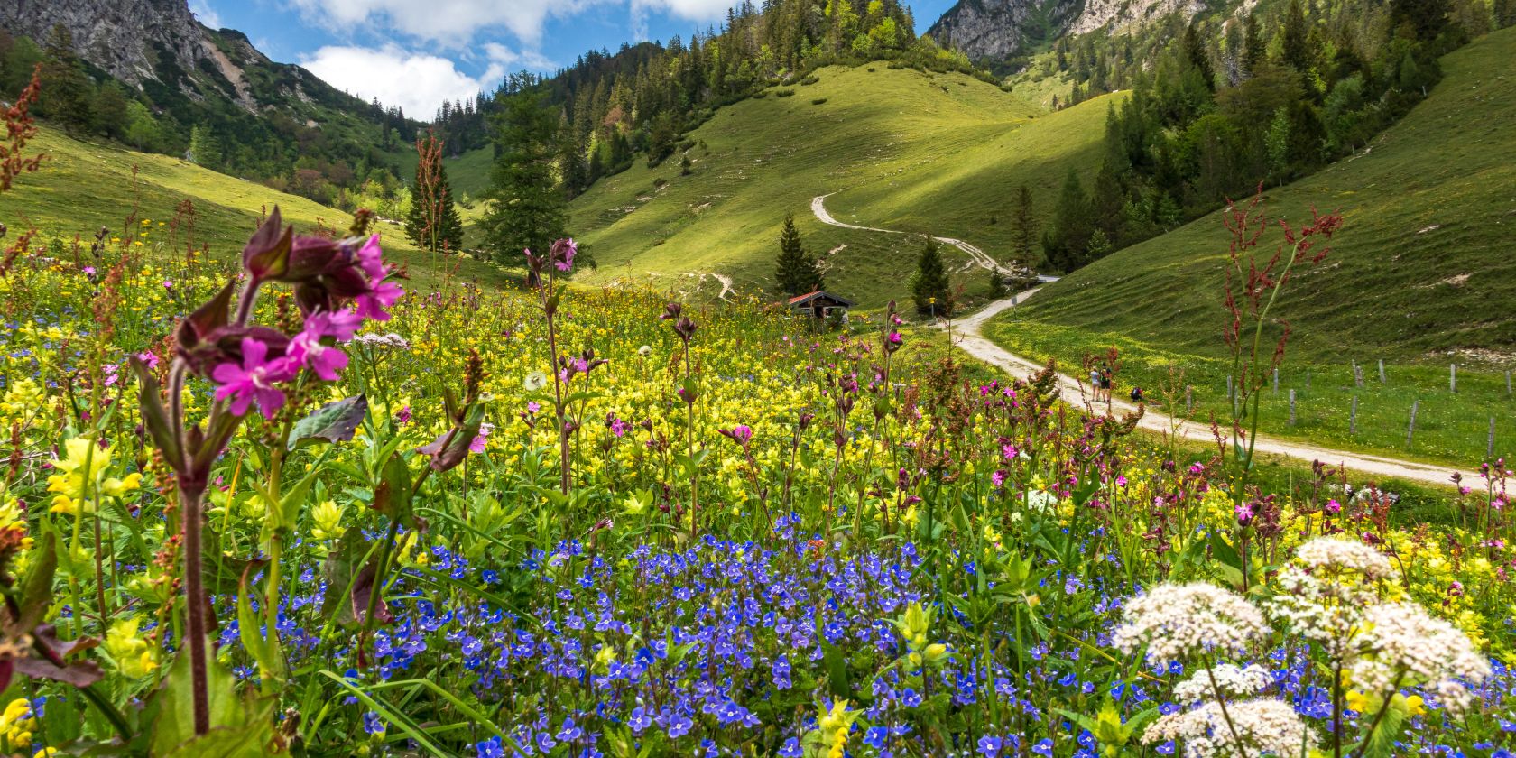 img_0101_3, &copy; Ruhpolding Tourismus