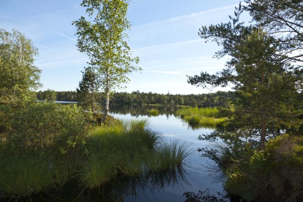 Sch&ouml;nramer Filz Moorsee2