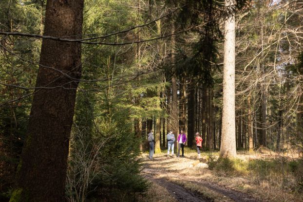 Gef&uuml;hrte Moorwanderung im Demelfilz, &copy; Tourist-Info Waginger See / Richard Scheuerecker