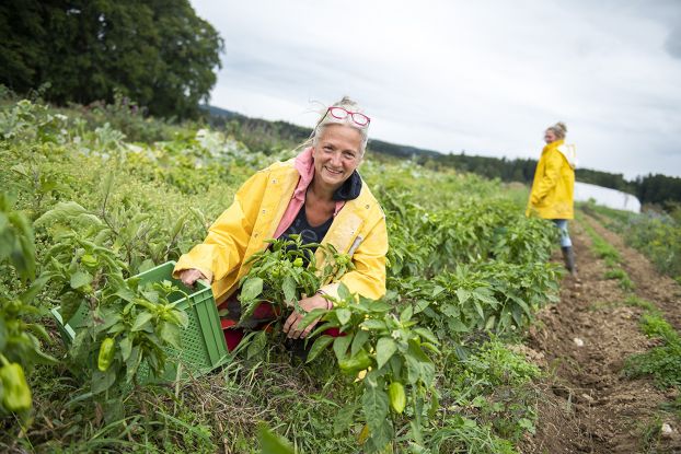 Girls'Day bei der SoLaWi Chiemgau, &copy; Tourist-Info Waginger See