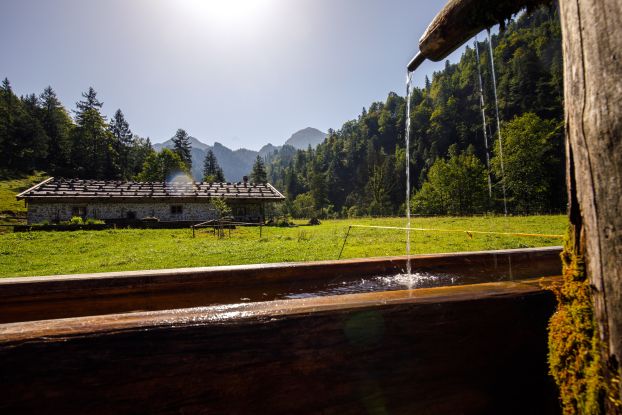 Schwarzachen Alm, &copy; Ruhpolding Tourismus / Andreas Plenk