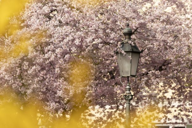 Lindlsonntag mit Markt