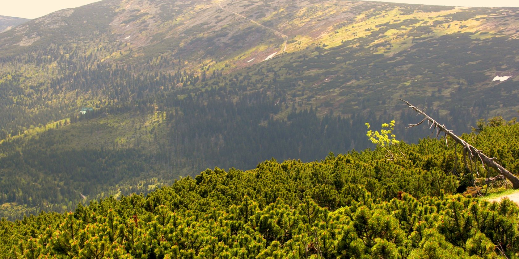 Sudeten, &copy; pixabay