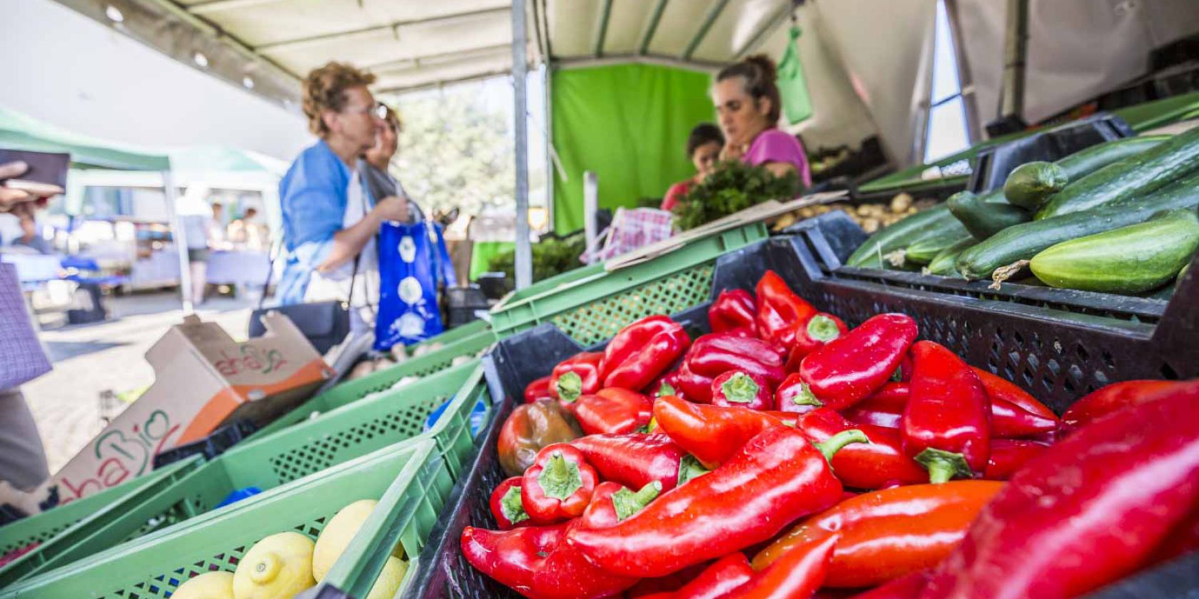 Obst- und Gem&uuml;se Hedwig Huber_Lohbachhof, &copy; Tourist-Info Waginger See