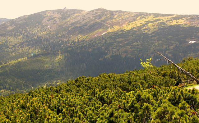 Sudeten, &copy; pixabay