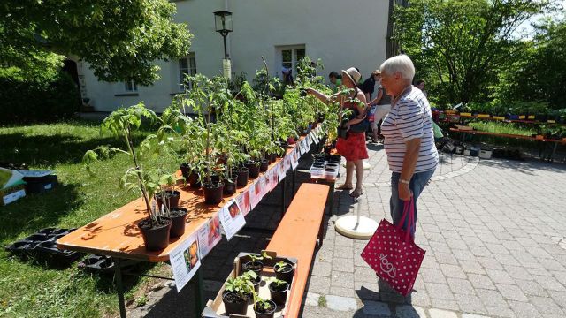 Kunst und Krempel-Markt, Gartenbauverein Otting, © Doreen Maierhofer