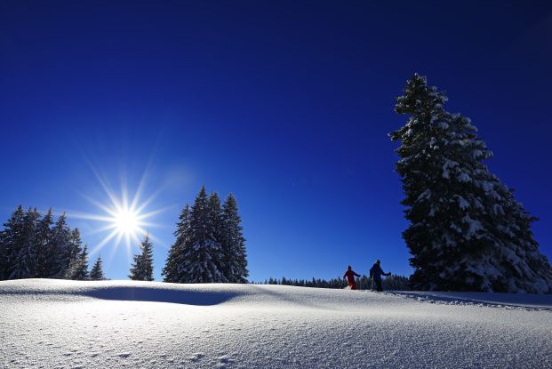 Premium Winterwandern Hemmersuppenalm, &copy; Eisele Hein