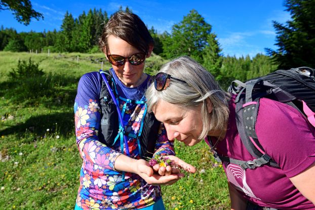 Kr&auml;uterwanderung, &copy; Eisele Hein