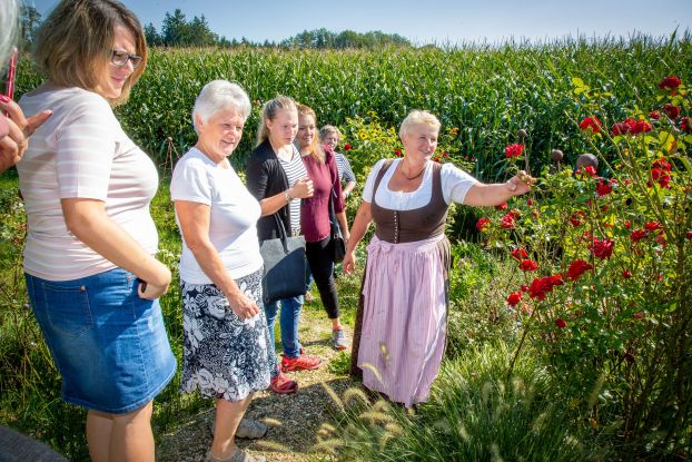 Sommernacht in Bl&uuml;tenpracht, &copy; Tourist-Info Waginger See