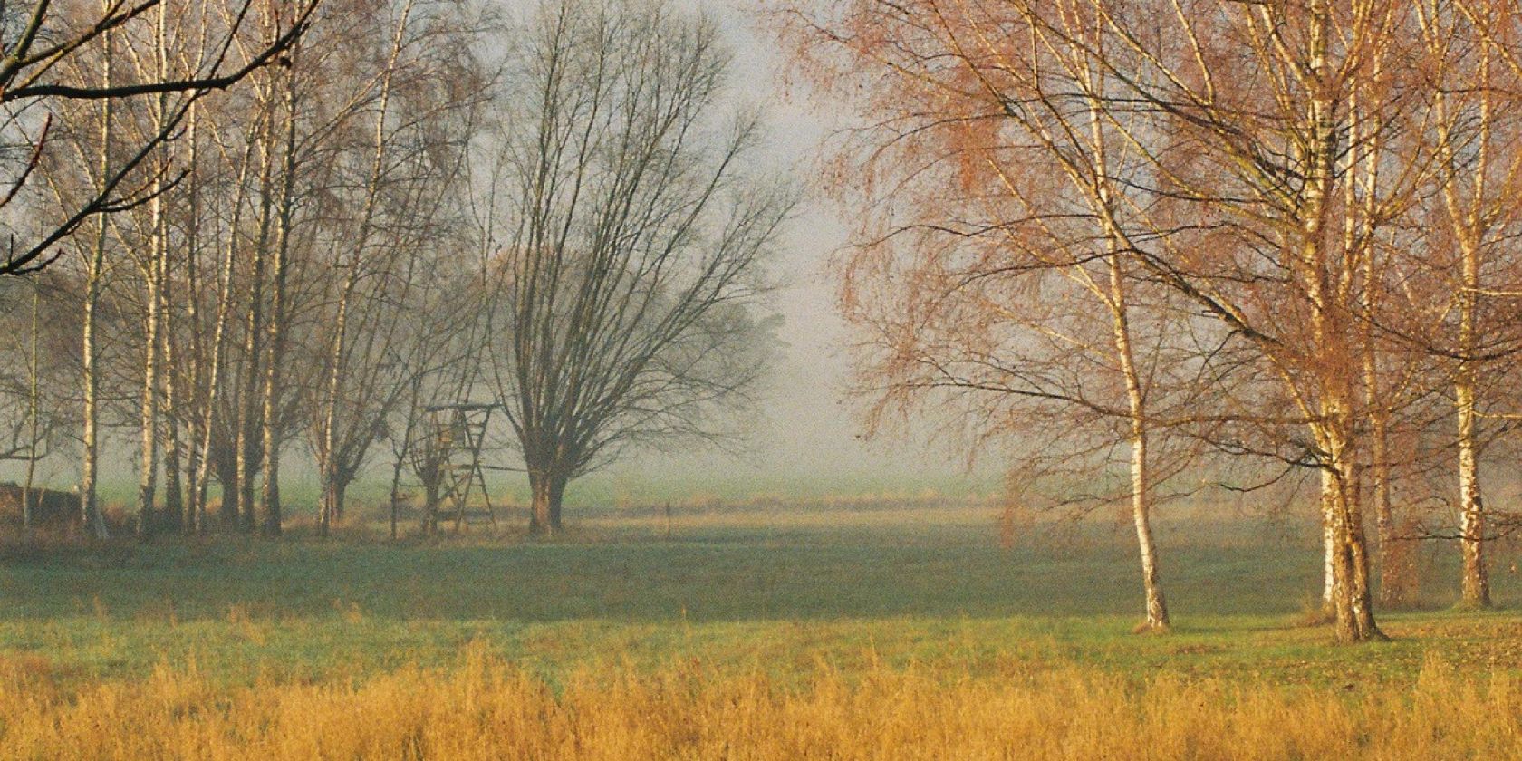 joseph nostalgia poster final copy-1