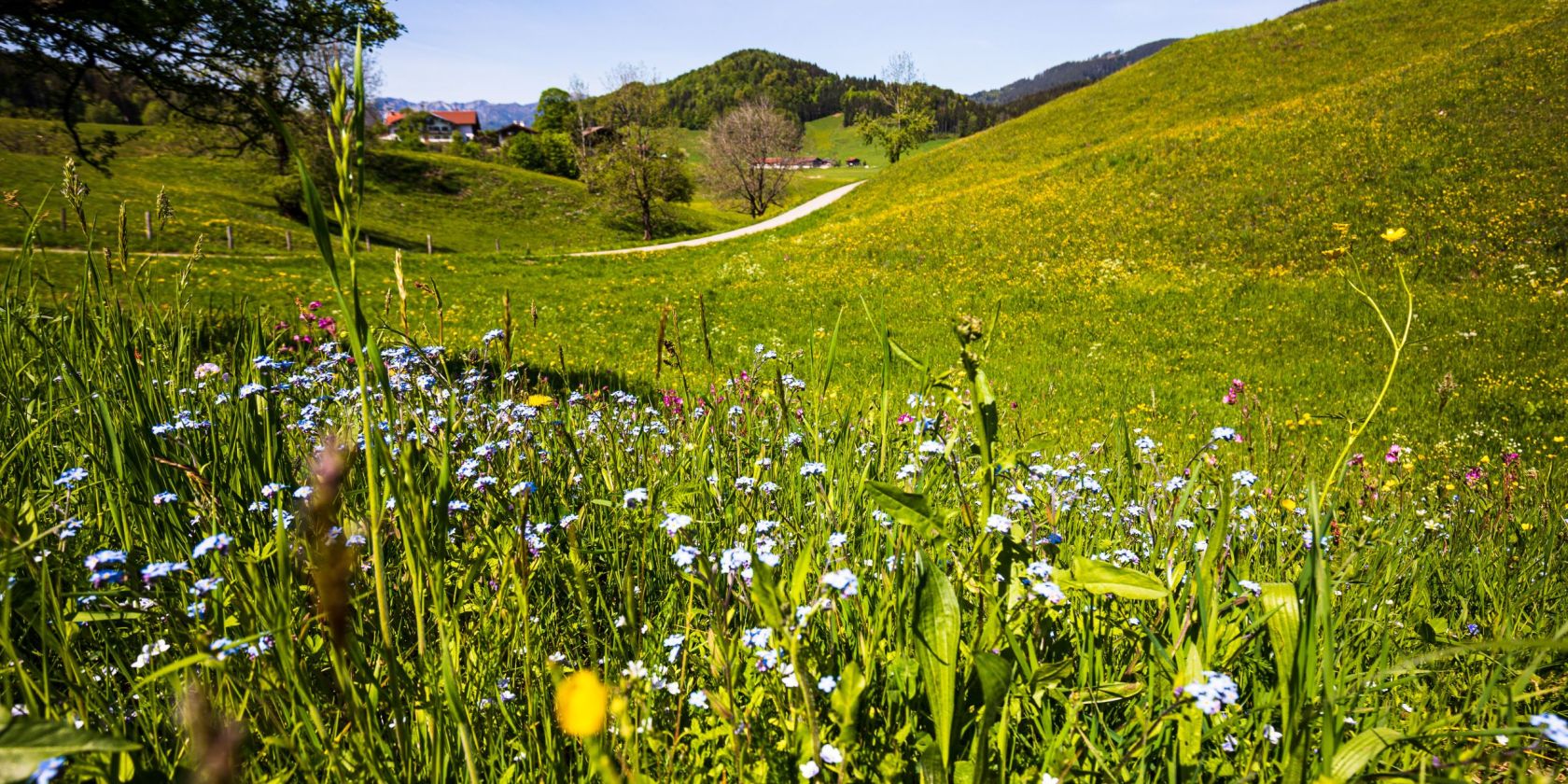, &copy; Ruhpolding Tourismus / Andreas Plenk