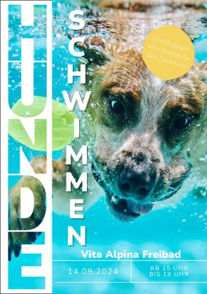 Plakat - Erstes Hundeschwimmen-1