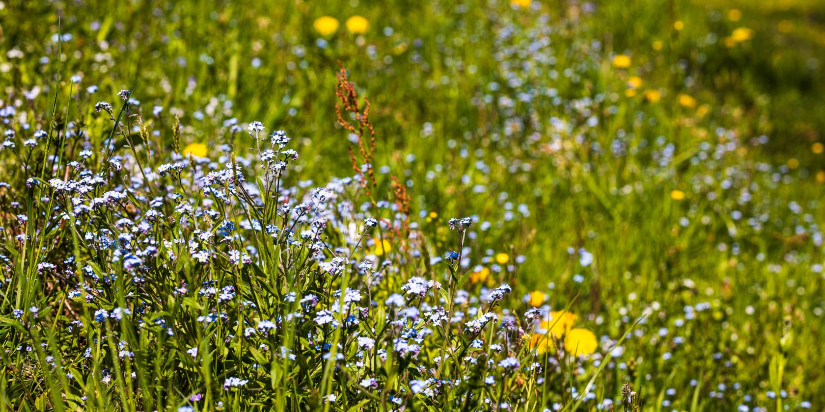 IU2A3293 (1), &copy; Ruhpolding Tourismus / Andreas Plenk