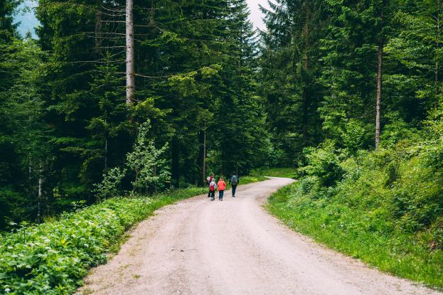 Weg zur B&auml;ckeralm, &copy; Inzeller Touristik GmbH
