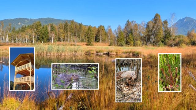 Die Filzen-Biber, &copy; Inzeller Touristik GmbH